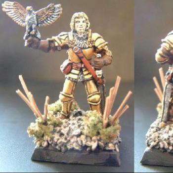 Golden Falconer by shaggee