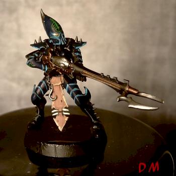 Dark Eldar Kabalite Warrior by DarkMaster