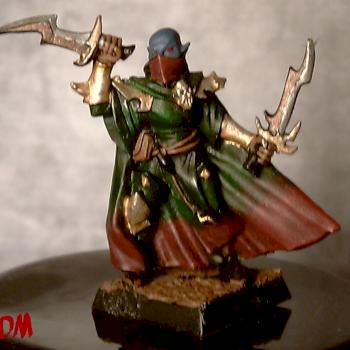 Dark Elf Assassin by DarkMaster