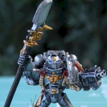 Grey Knight by Ajon