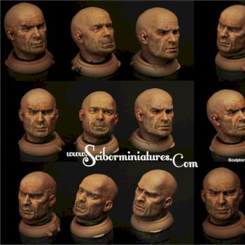 Painted heads 38mm by Scibor