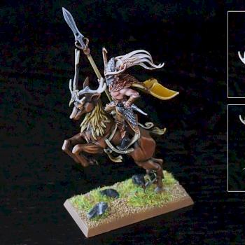Wood Elf Wild Rider by barjed