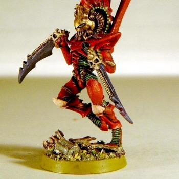 Dark Eldar by maru