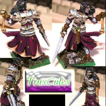 Warcrow mini .... my elvenvampire by TruxCulex