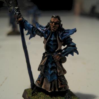 Dark elves Black Guard by wiljan