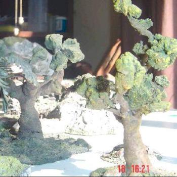 Another mini by ashitaka