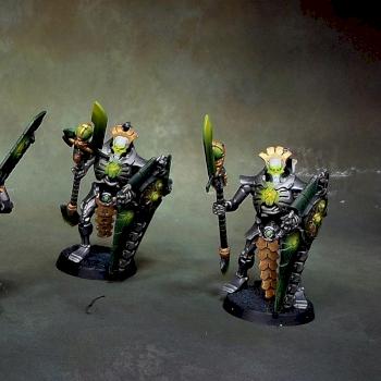 Necron Lychguard by Awaken Realms
