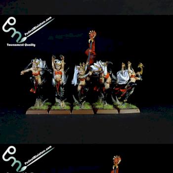 Dark Elf Witch Elves by perfectminiaturecom