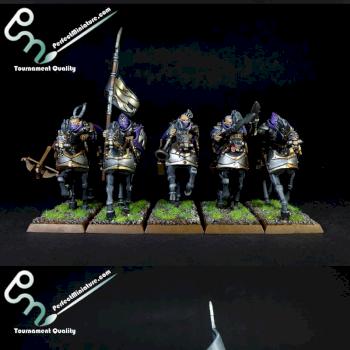 Dark Elf Dark Riders by perfectminiaturecom