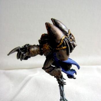 Raptor champion by amimmortal