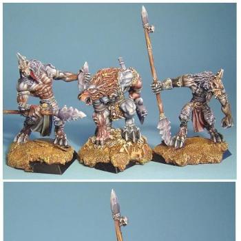 guerriers des plaines wolfen et champion by armees de gehenne2