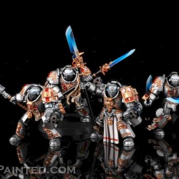 Grey Knights Paladin Squad by www.buypainted.com