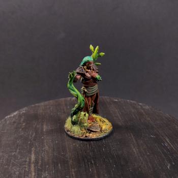 Nolzur's Human Druid by pHBalanced