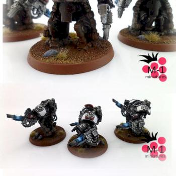 Centurion Devastator Squad, Black Templars by malinek28