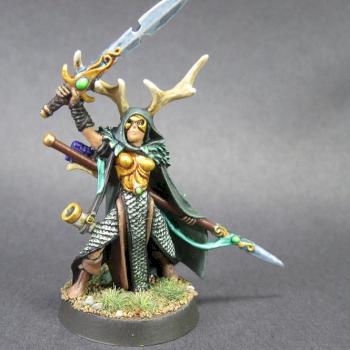 wanderers waystrider /Female Wood Elf Lord by mikecarrero