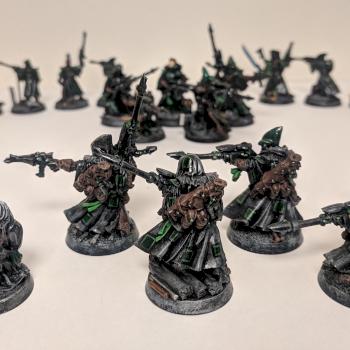 Eldar Rangers by 144