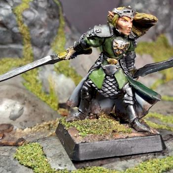 Danithal, Elven Warlord by MrNoNameSoldier1977