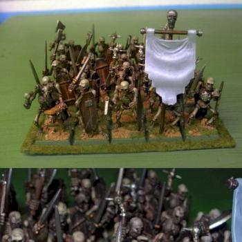 Vampire Counts - Skeleton Warriors by Monoceros