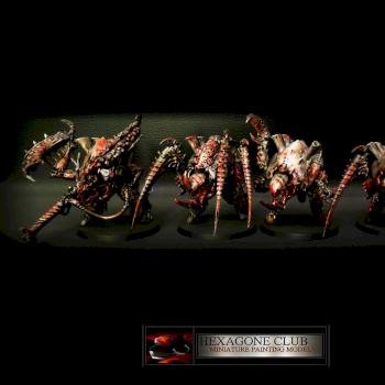 Warhammer 40.000 Tyranids Canifex Brood . by Hexagone Club