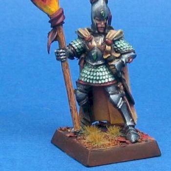 Phoenix Guard Standard Bearer (High Elves) Repost by dicker koenig