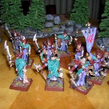 Dark Elf Corsairs by pelcu
