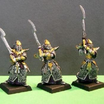 Dark Elves Executioners by Shadowrune