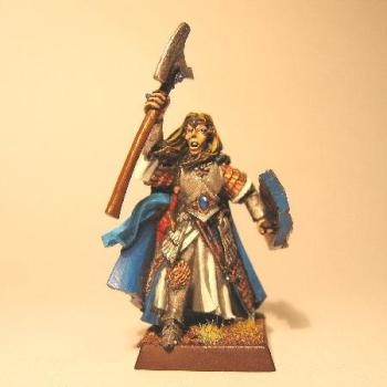 High Elf Hero (Front View) (Remember Im only 13!) by Orky Dude