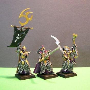 Dark Elves Executioners command by Shadowrune