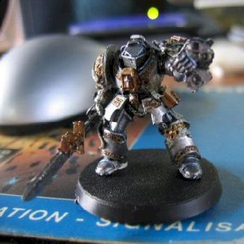 Terminator Chevalier Gris by Fox