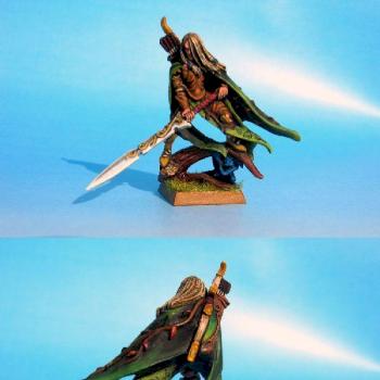 Wood Elf Highborn by DelMonte