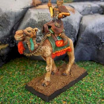 grifin fusilier on a camel 2 by thomas Edimo