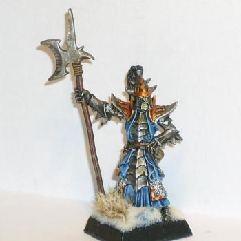 Dark Elves Black Guard by Baumi