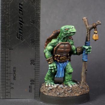 turtle mage by mikecarrero