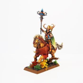 Elf Hero (conversion) by Heith