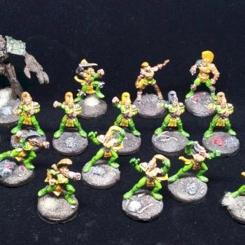 Wood elves blood bowl team by phiphe