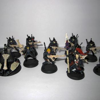 Eldar Guardians by mictian