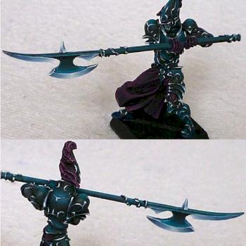 Dark elf Black guardian by lukatme