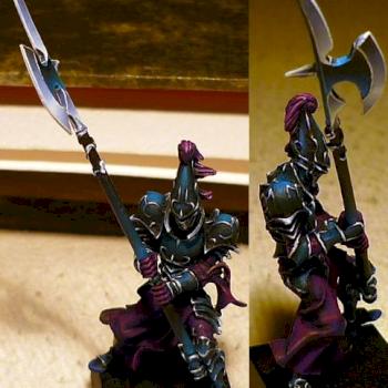 Dark elf Black guardian by lukatme