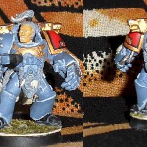 One of my Wolfguard Packleaders by Bram
