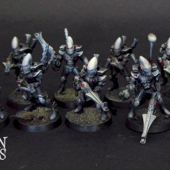 Eldar Guardians by Awaken Realms