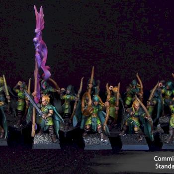 Wood Elves Glade Guardians by Awaken Realms
