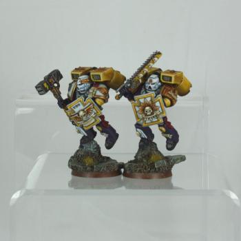 Space Marine Assault Veterans: Storm Brothers by geektom