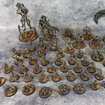 Warhammer 40k Necron Army Indomitus Cryptek Destroyers Barge Scythe Flayed Ones by biscuitkiller