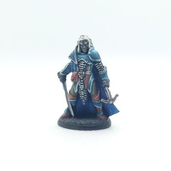 Drow Warrior (Bones 4 - Dark Reaches Set) by Atoh