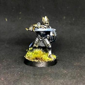 Ingold Warden of the Rammas Echor of Gondor Forge World PAINTED MIDDLE EARTH by juanlurockerman