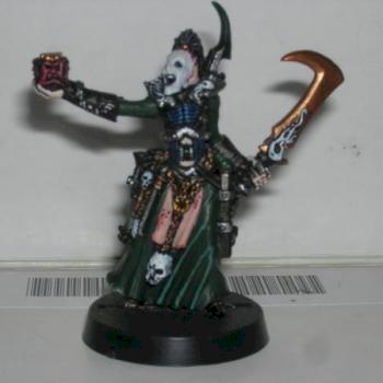 Dark eldar by mortonsalt