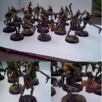 kroot squad by nooseman