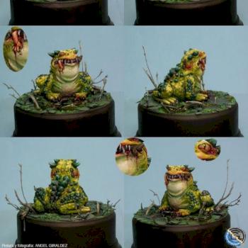 The charming toad by enlacasadedonpepito