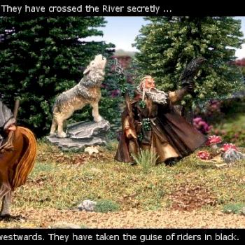 Gandalf the Grey and Radagast the Brown by lightning2911