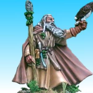 Radagast by perryspaintings